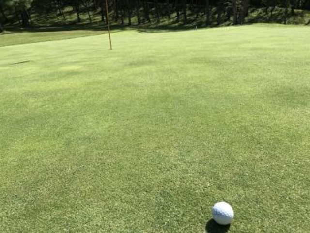 �j�A�s��_�\�������ۃS���t�N���u