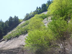 メタボ大王さんの奇岩千畳岩の投稿写真1