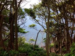 Ȃ̐ԑA艷قւ̓eʐ^1