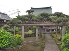 sklfhさんの光明寺の松への投稿写真1