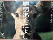 ���ڂ炳��̓V���s�����ˌÕ��W���ق̓��e�ʐ^1