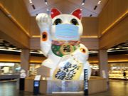 �L����񂳂�̃C�I�����[���튊�̓��e�ʐ^1