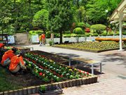 񂳂̈ɓߐHiHƁijkuH̓eʐ^17