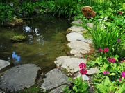 񂳂̈ɓߐHiHƁijkuH̓eʐ^19