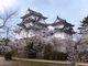 こぼらさんの伊賀上野城の投稿写真1
