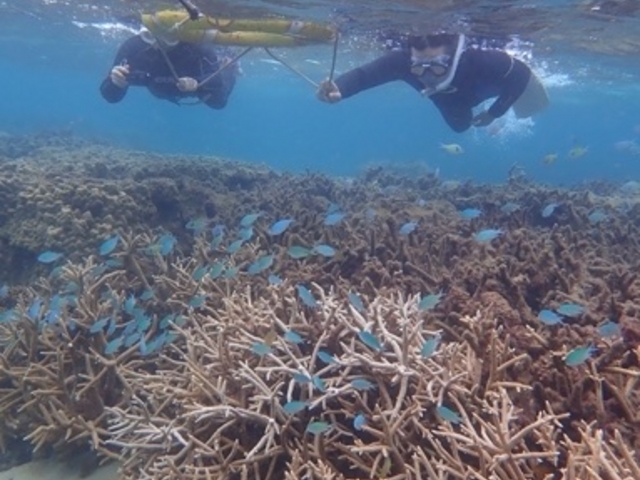 �󂢂Ƃ�����T���S�Ƃ�����t�I_�����哇�E�F���l�X&�A�h�x���`���[UNIMARE