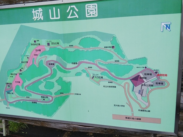 ��Ղ͖���ƌ����ɂȂ��Ă��܂�_��Ə��