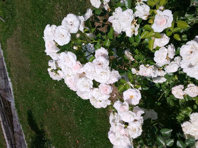 �����΂�_���[�Y�K�[�f�������Ղׂ�