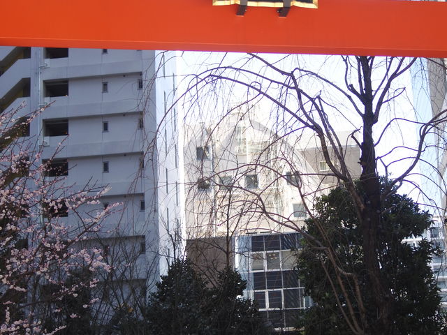 ����_�����_��