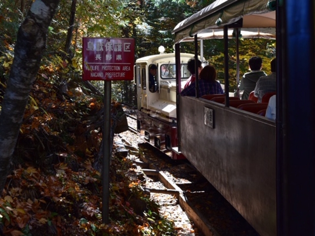 �X�ѓS���ɂ������_�ԑ򎩑R�x�{��