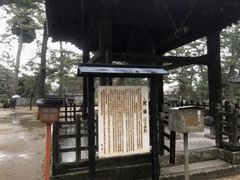 �Ȃׂ�������̑�80�ԎD���@�������ւ̓��e�ʐ^1