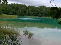 五色沼湖沼群の口コミ一覧 じゃらんnet