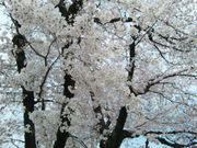 �n����������JR���o�w�̓��e�ʐ^3