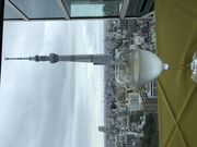 傤܂̃Xge  i[^ ȋX̓eʐ^5