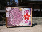 �Ă܂肳��̟N�ؐ_�Ђ̓��e�ʐ^3