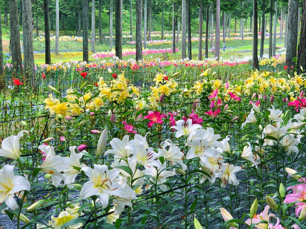 大垣駅周辺の動物園 植物園ランキングtop10 じゃらんnet