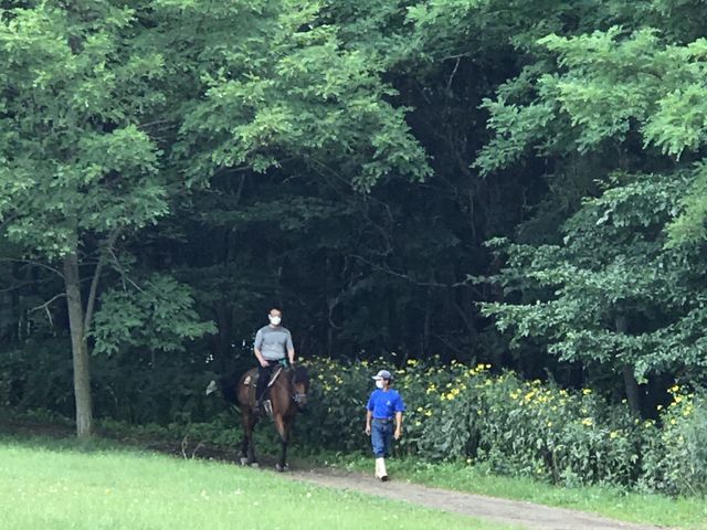 ƂĂȔn΂łB_tmgbLOT|[gVn