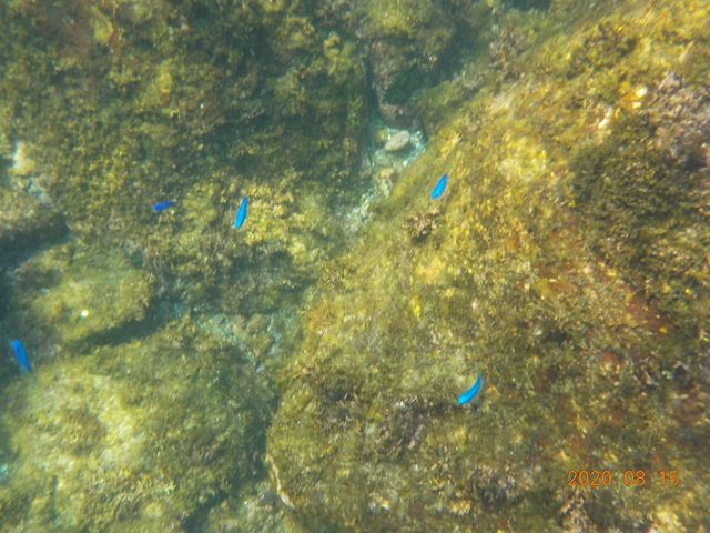 �������ȋ����������񂢂܂����B_���[�t�@���C�_�[�Y