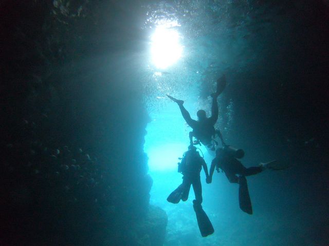 �̓��A�͐_��I�ł�_�����_�C�u (MalDive)