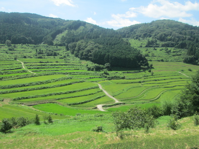 cڂ͌`傫lXŒIcςQłB@߂f炵I_璬E嚸a̒Ic