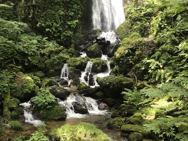 �����Ȓ��ɂ��r�X�����������܂��B_�s���̑�