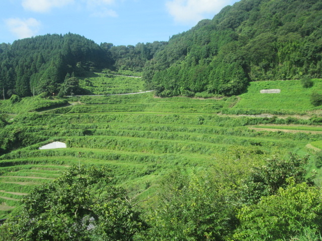 c䗦AIcȂEEƎv킹Ă܂B_k̒Ic