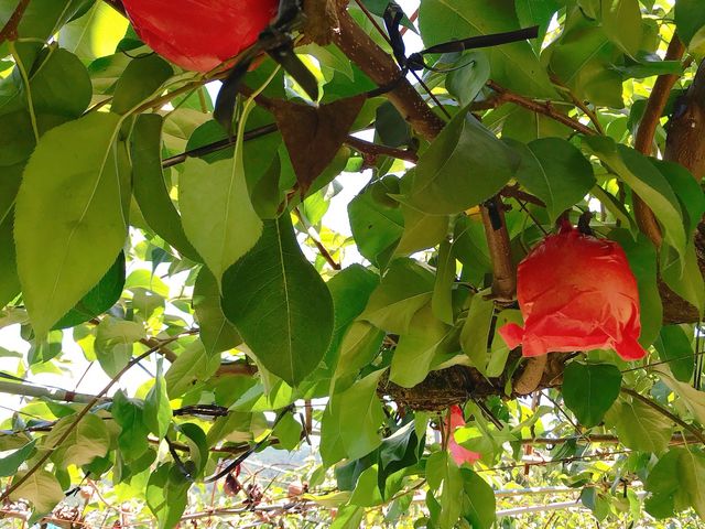 ���ɂ͈����J�ɑ܂������Ă���܂���(^^)_���c����