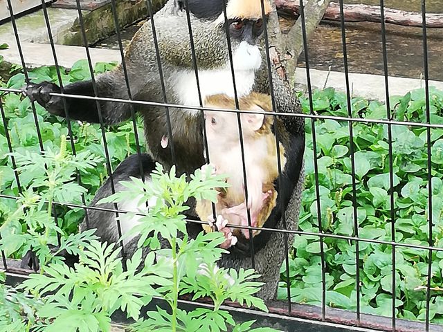 �����ꏏ��_���R������