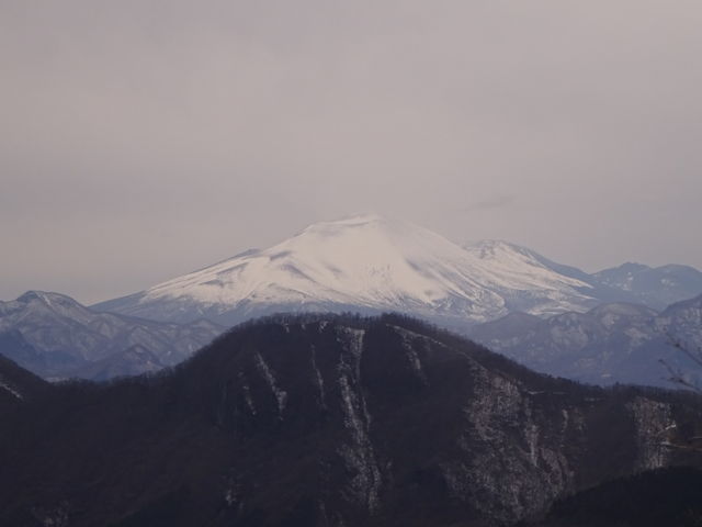 �Y���R���[�v�E�F�C_�Y���R���[�v�E�F�C