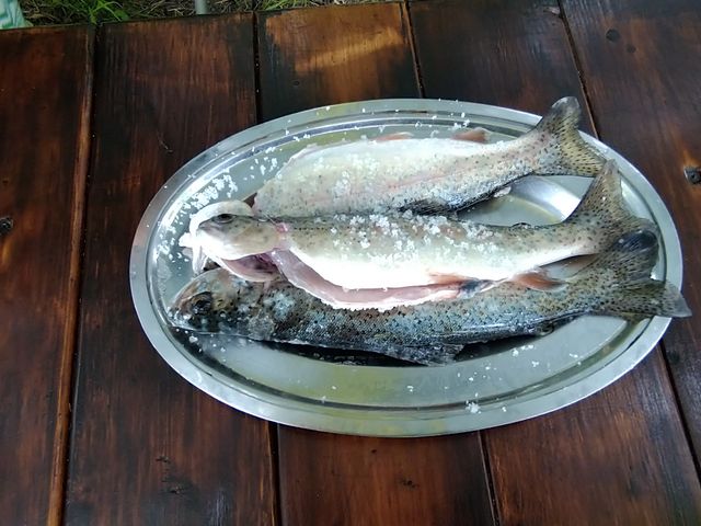 �����}�X�B���^�����͊���_�x�ǖ�l�C�`���[�N���u