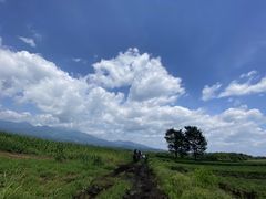 g~Riding Club Jobardߐ{ւ̓eʐ^1