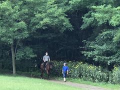 Ђł񂳂̃tmgbLOT|[gVnւ̓eʐ^1