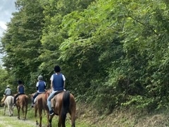 䂩񂳂Riding Club Jobardߐ{ւ̓eʐ^1