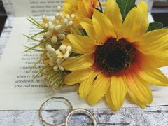 Vg̗Caravella@ւ̓eʐ^1