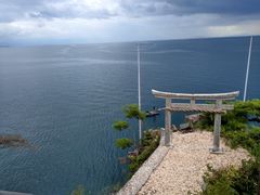 ǂǂ炳̒|N[Y(Í`/i΋DD)ւ̓eʐ^1