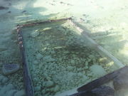 ǁ[̏Rݏグ̓g̓eʐ^1