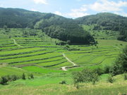 hbp[̔璬E嚸a̒Ic̓eʐ^1