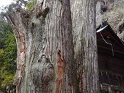 ǁ[̐Y_Ђ̖̓eʐ^1