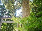 �݂ǂ肳��̐��R��{�����_�Ђ̓��e�ʐ^1