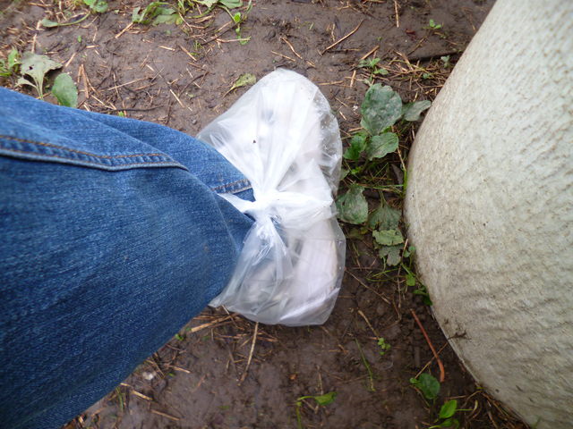 ԂǂʂłÃrj܂͂ƂĂǂłB_悱