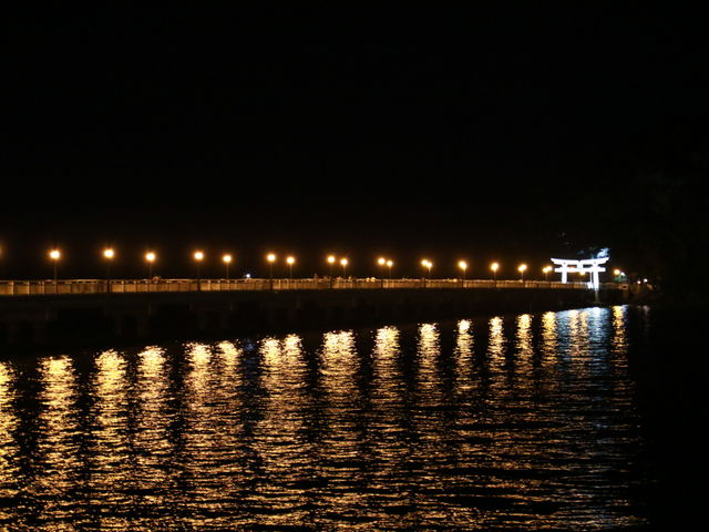 ���C�g�A�b�v���ꂽ�|���B_�|��