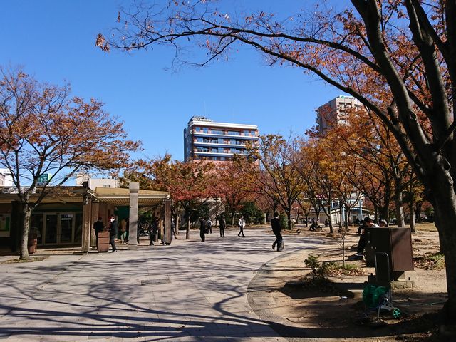 2019�N_�V�_��������