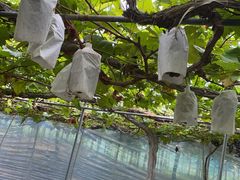 ̉_(sόԂǂZ^[x)ւ̓eʐ^1