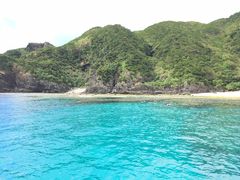 񂳂̃WCNGCg eB[_ւ̓eʐ^2