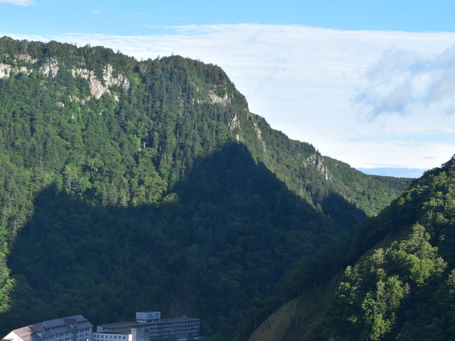 �Y��Ȓ���_���R�w�_���E���x���[�v�E�F�C