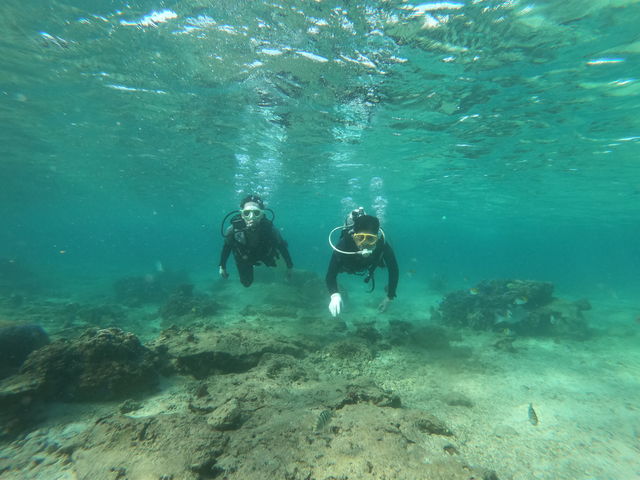 �K�C�h����H���A���̓��̓����x�́A�ǂ����������Ȃ����ʂ炵���ł��B���B�͏[���L���C���Ǝv���܂����B_�����_�C�u (MalDive)