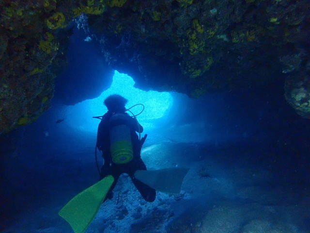 �n�`�_�C�r���O_BLUE TABBY