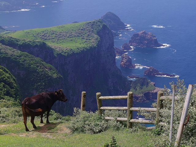 �B�򍑉�C��