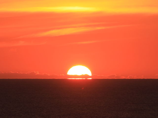 �R�j�[���@������_����l����