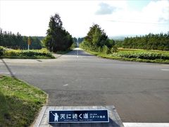 ÐhF̒mΗ Vɑւ̓eʐ^1